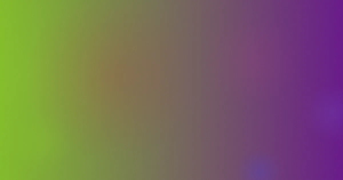 欧美1314测评：避坑问答